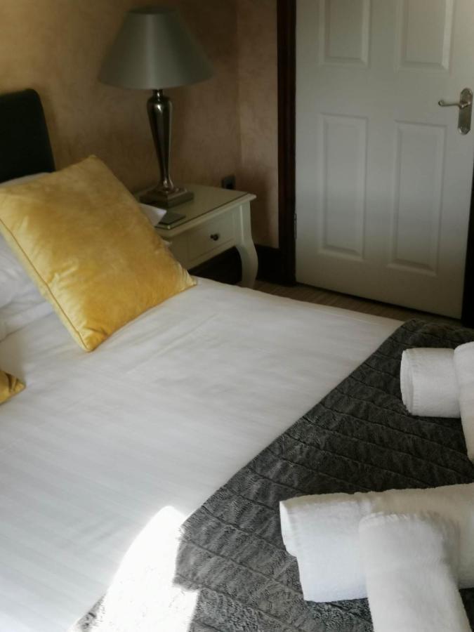 קרדיגן Llety Teifi Guest House מראה חיצוני תמונה